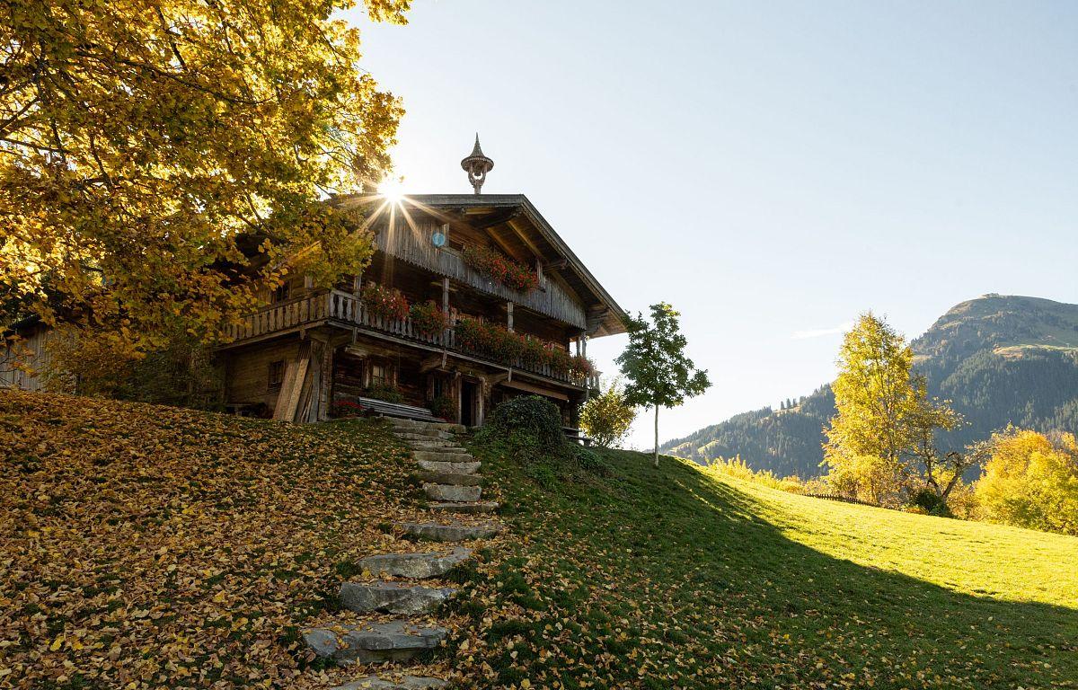 The-Gruberhof-Soll